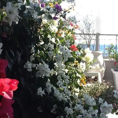 Acitrezza Sul Mare 別荘 *